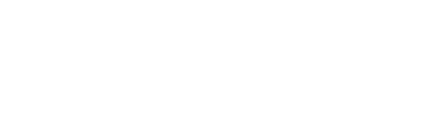Logo True Mine